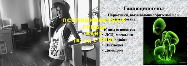 дмт Белокуриха
