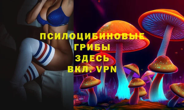 ALPHA-PVP Богородицк