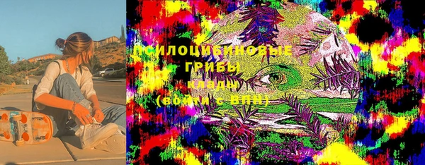 ALPHA-PVP Богородицк